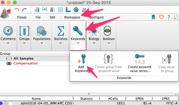 Setting up FlowJo workspace keyword areas