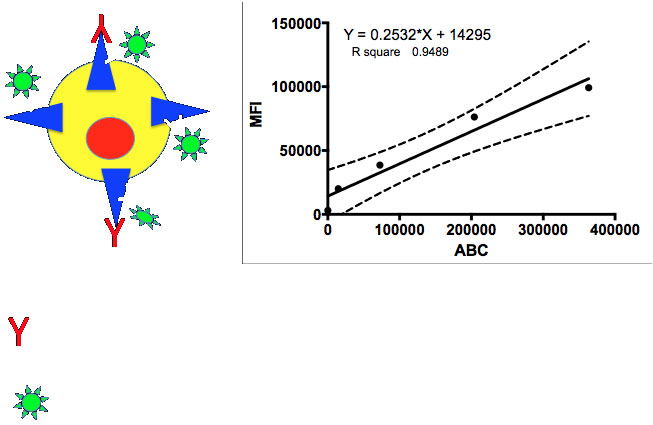 Measurement of total receptor expression